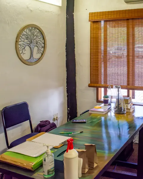 Homeopath - Soretha du Plessis