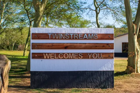 Twinstreams Collective